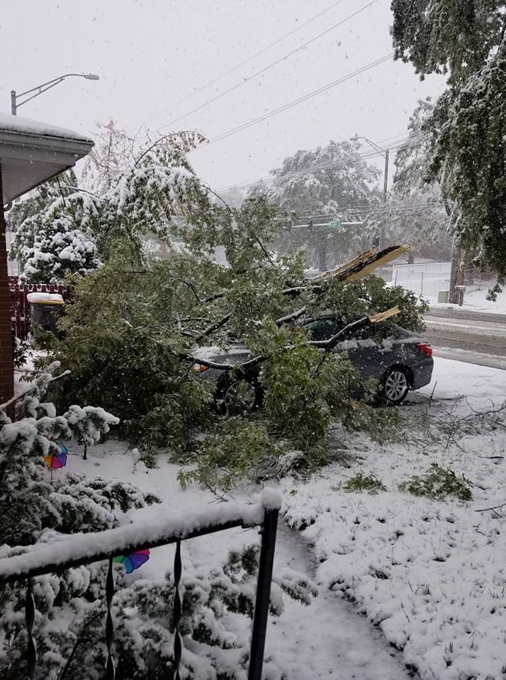 Snow, 10/14